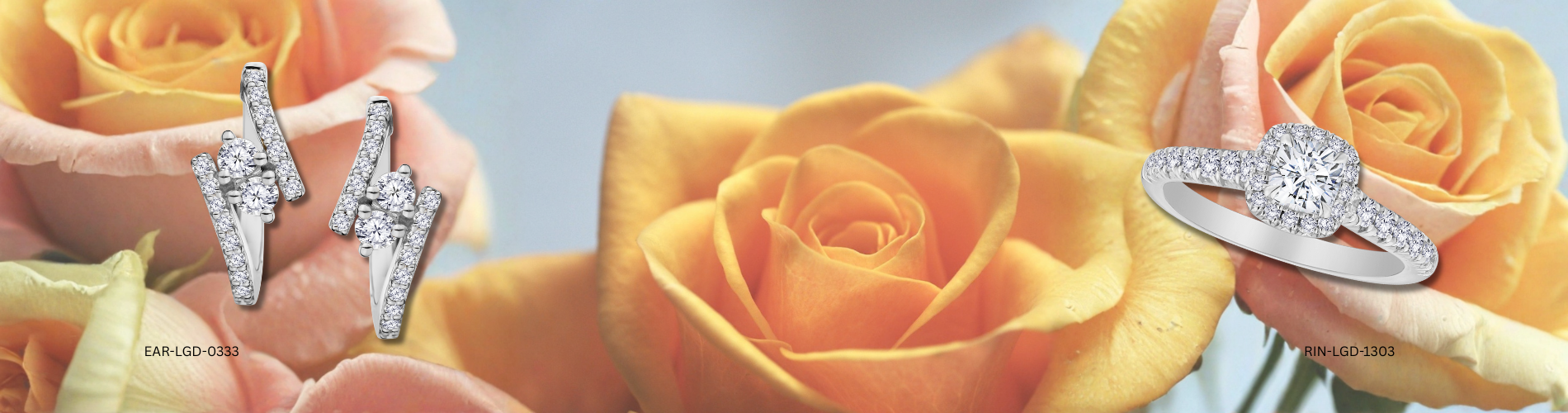 Sparkle on Your Birthday