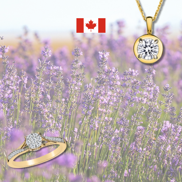 No Charge Shipping to Ontario, Nova Scotia & New Brunswick