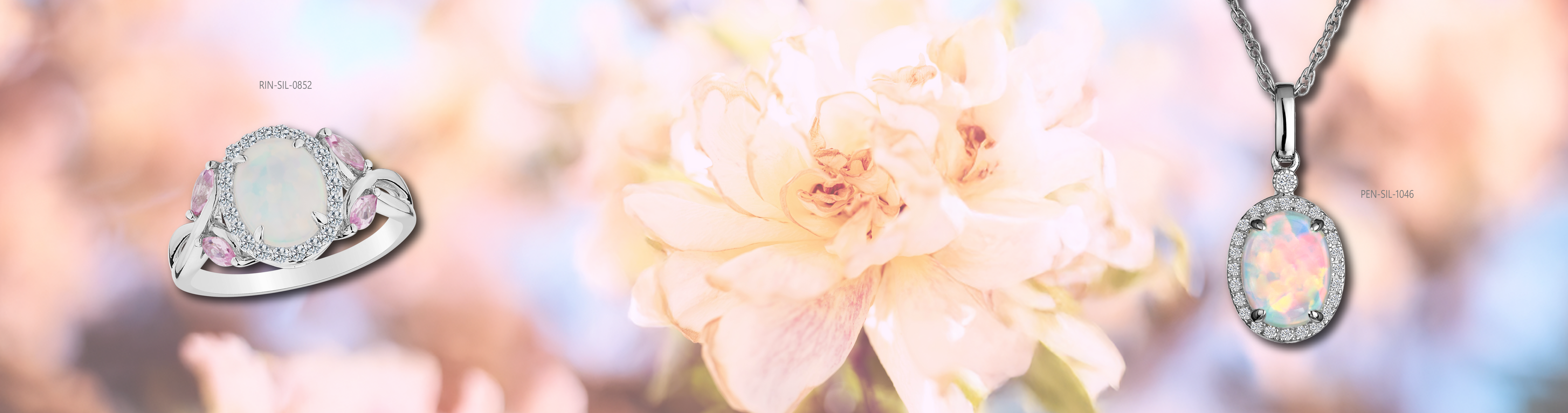 Color That Tells Your Story