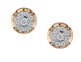 .25 Carat of Diamonds Earrings, 10kt Two Tone.....................NOW