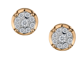 .25 Carat of Diamonds Earrings, 10kt Two Tone.....................NOW