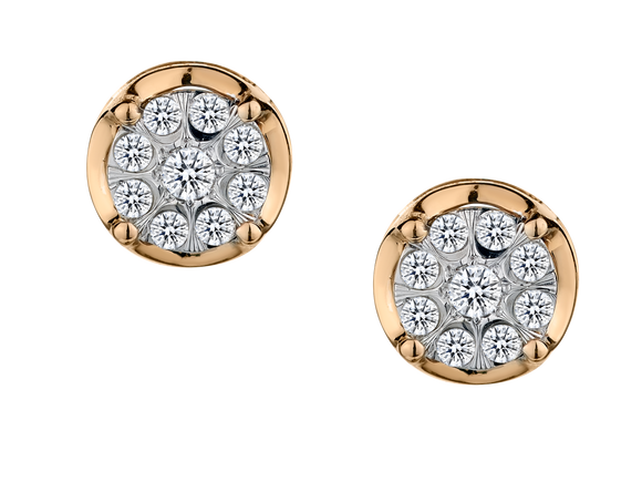 .25 Carat of Diamonds Earrings, 10kt Two Tone.....................NOW