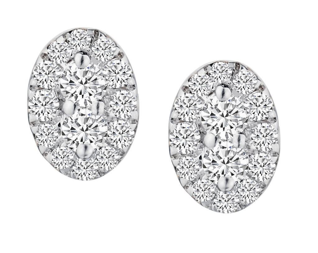 .25 Carat of Lab Grown Diamonds Stud Earrings, 10kt Yellow Gold.....................NOW