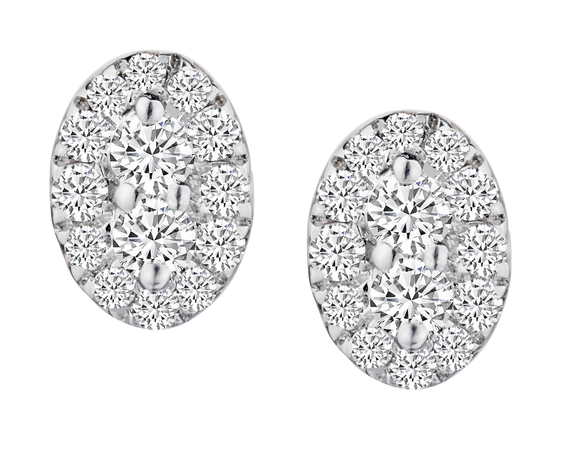 .25 Carat of Lab Grown Diamonds Stud Earrings, 10kt Yellow Gold.....................NOW