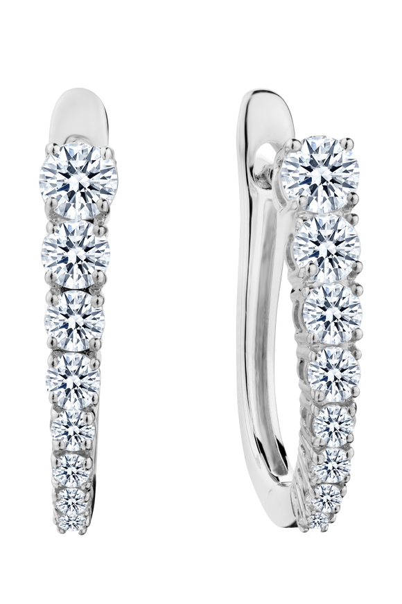 .75 Carat of Lab Grown Diamond Earrings, 10kt White Gold.....................NOW