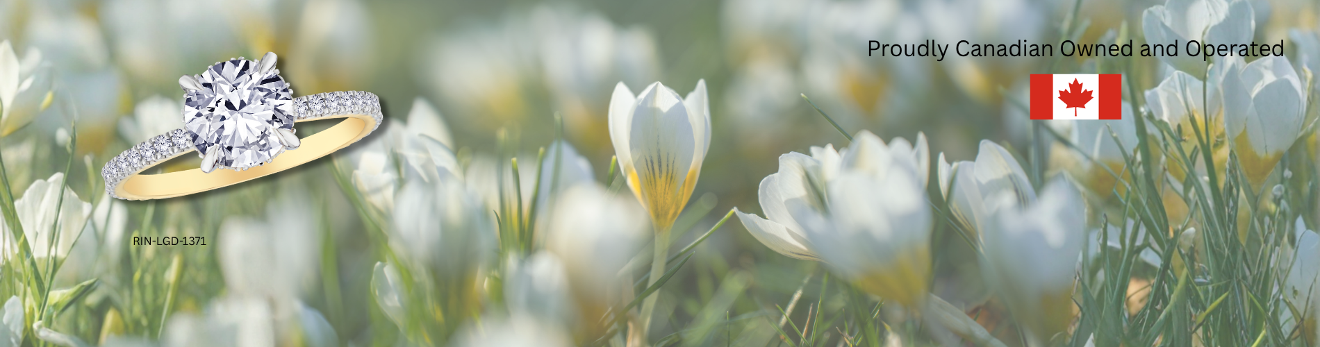Let Your Style Blossom