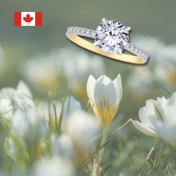 Let Your Style Blossom