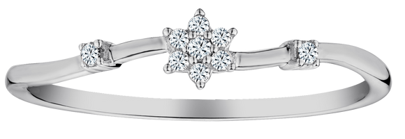 .05 Carat of Diamonds "Flower" Ring, 10kt White Gold.....................NOW