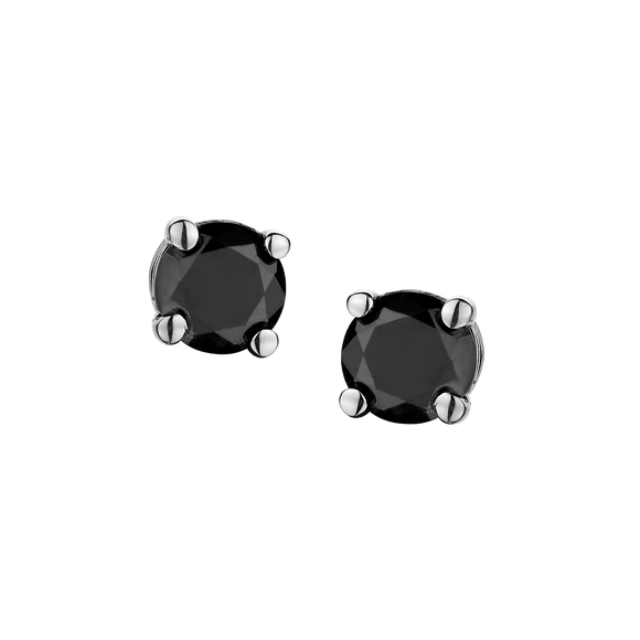 .25 Carat of Black Diamonds Stud Earrings, 14kt White Gold.....................NOW